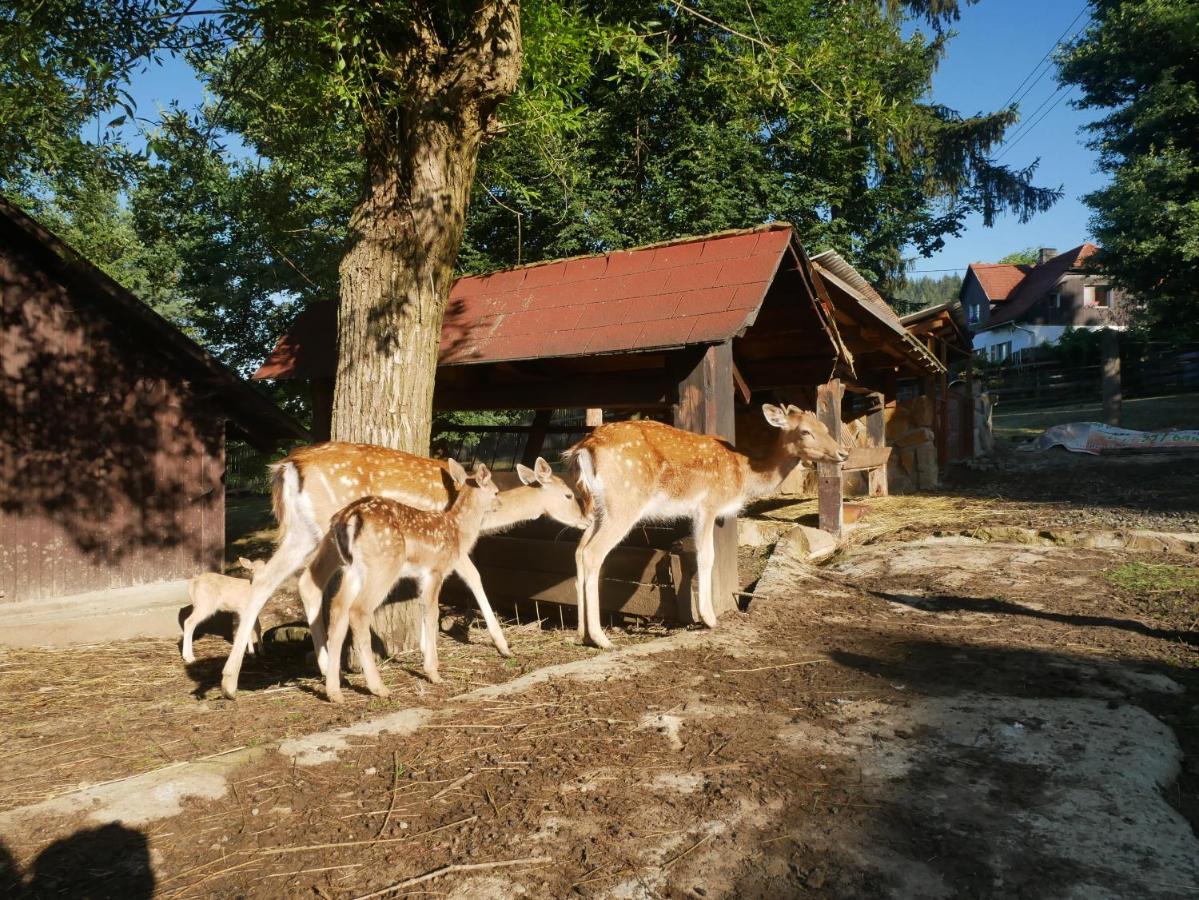 Prostřední Bečva Penzion Obora מראה חיצוני תמונה